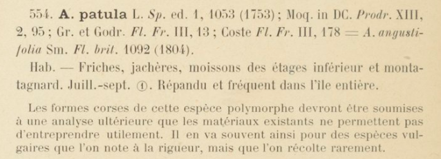 Prodrome-John_Briquet