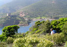 Vignette Corse Mare et monte 