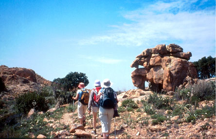 For�t de Piana