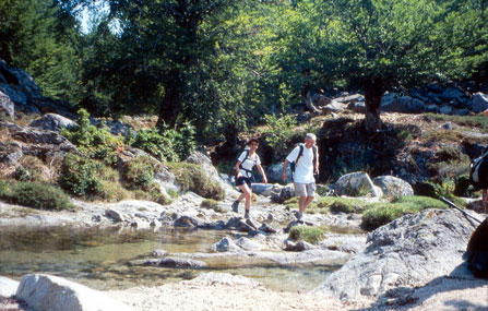 Riviere Asinao