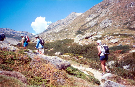 Riviere Coscione