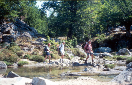 Riviere Coscione