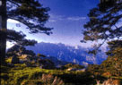 Vignette Corse Sud Bavella 