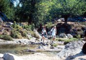 Vignette Riviere Asinao