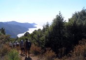 Vignette Sud Travers�e
