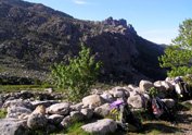 Vignette Riviere Coscione