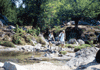 Vignette Riviere Asinao