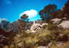 Vignette Sud Travers�e