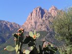 Vignette Monte e mare