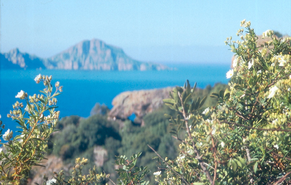 corse-Golfe de Porto