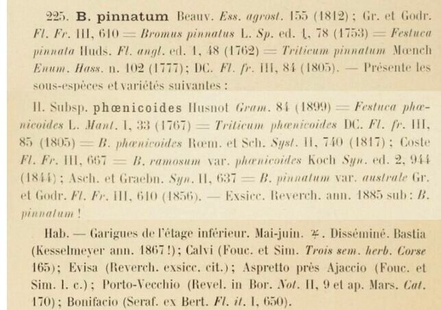 Prodrome-John_Briquet