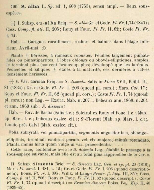 Prodrome-John_Briquet