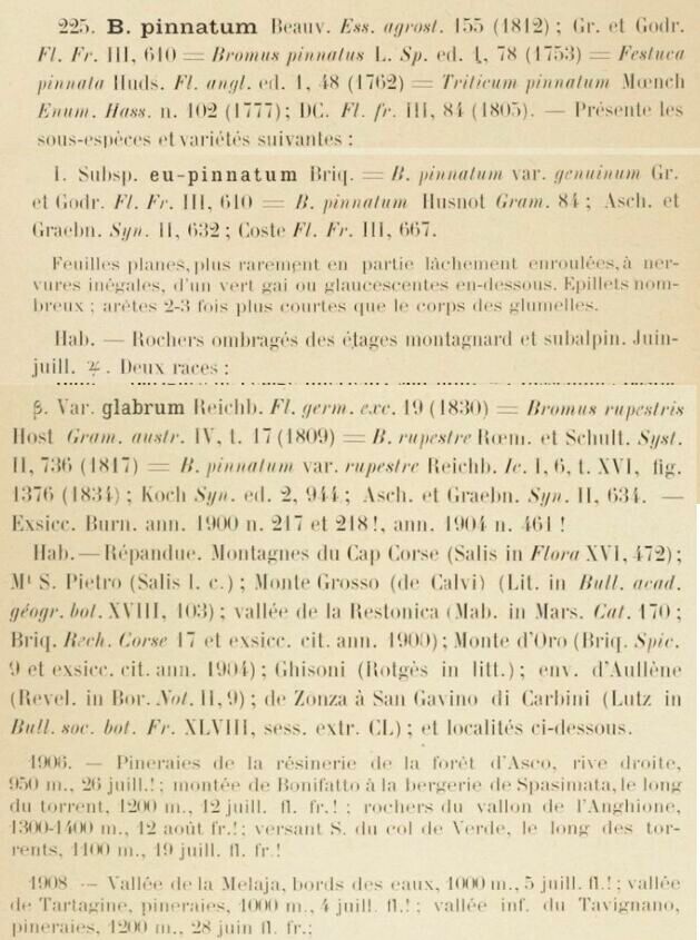 Prodrome-John_Briquet