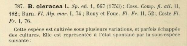Prodrome-John_Briquet