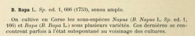Prodrome-John_Briquet