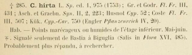 Prodrome-John_Briquet