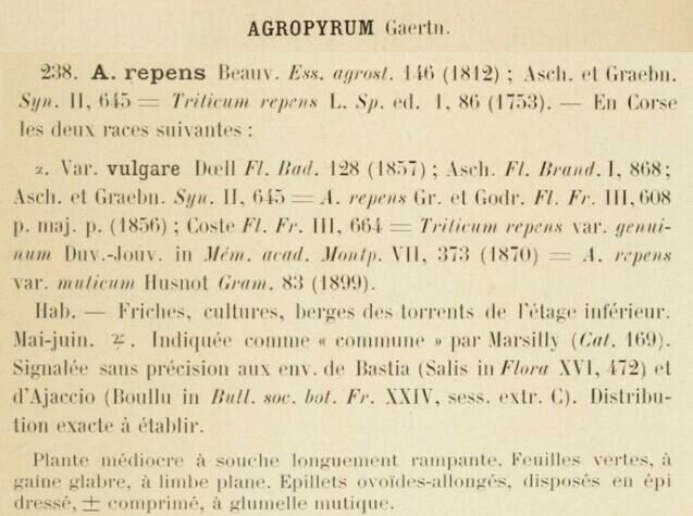 Prodrome-John_Briquet
