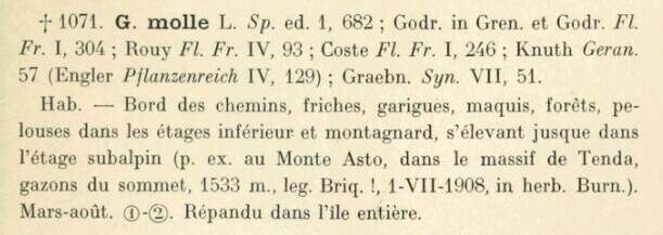 Prodrome-John_Briquet