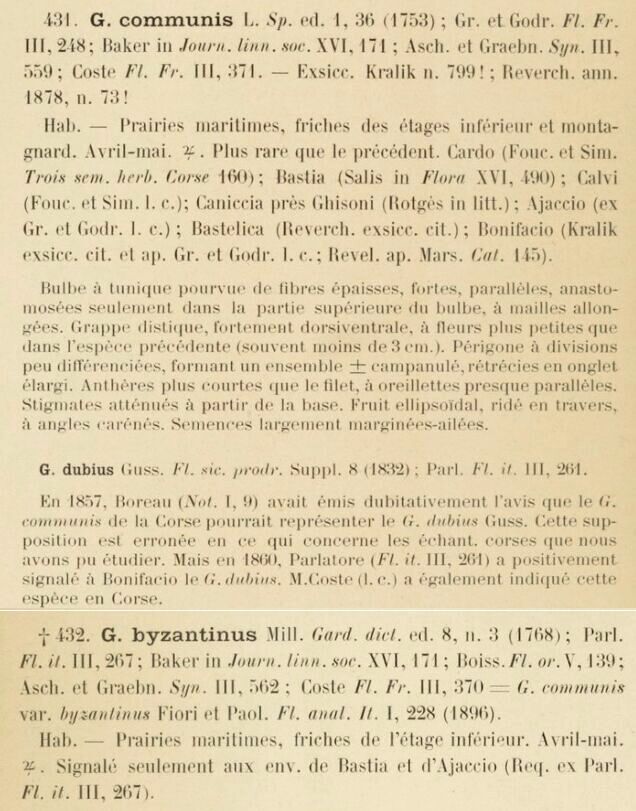 Prodrome-John_Briquet