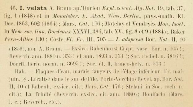 Prodrome-John_Briquet