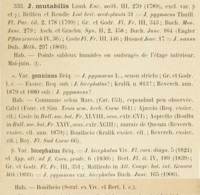 Prodrome-John_Briquet