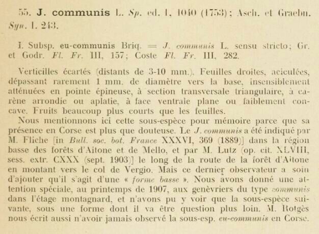 Prodrome-John_Briquet