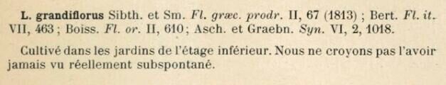 Prodrome-John_Briquet
