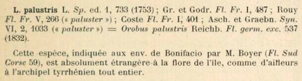 Prodrome-John_Briquet