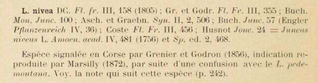 Prodrome-John_Briquet