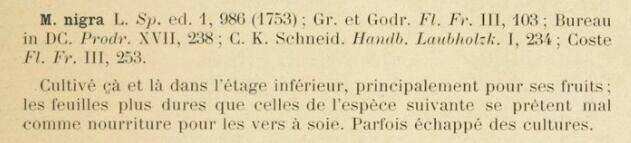 Prodrome-John_Briquet