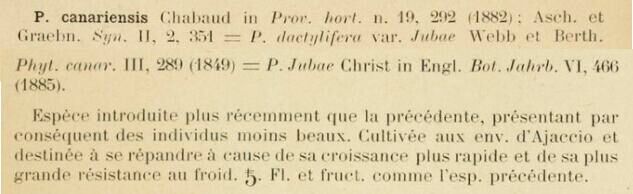 Prodrome-John_Briquet