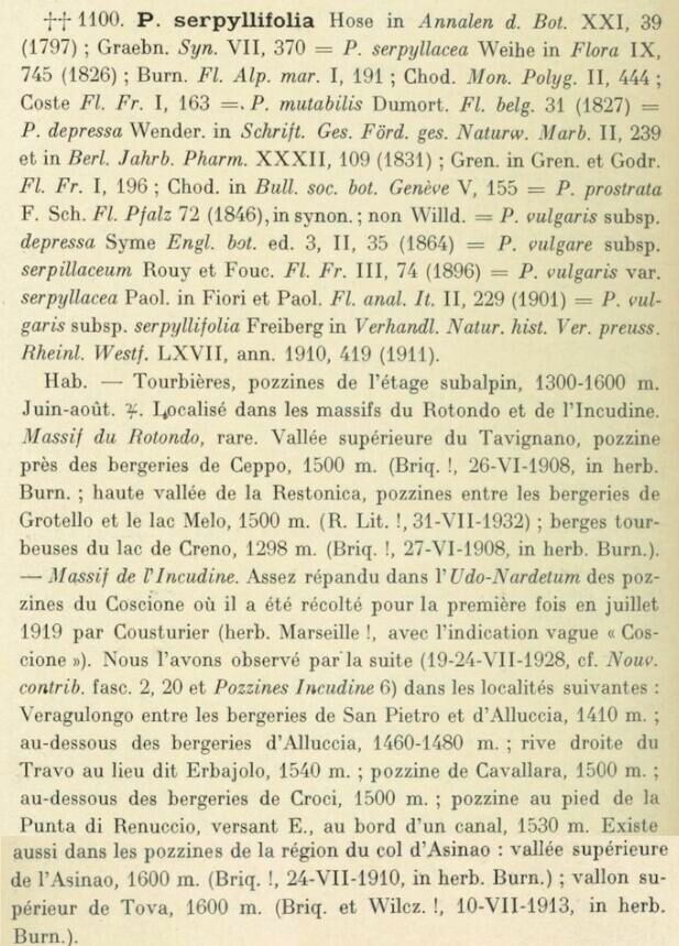 Prodrome-John_Briquet