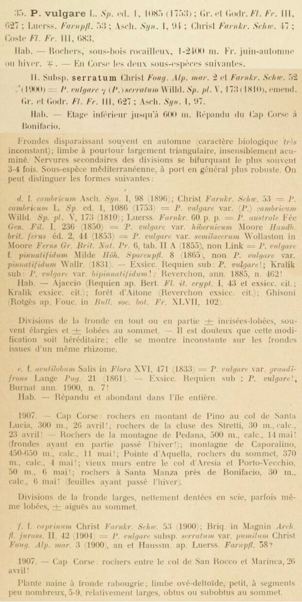 Prodrome-John_Briquet