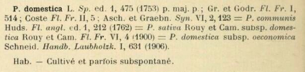 Prodrome-John_Briquet