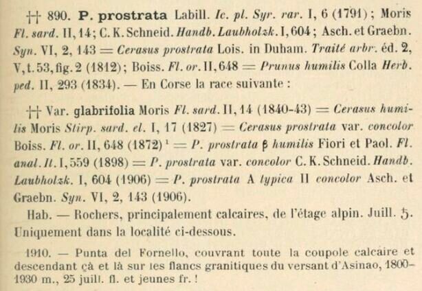 Prodrome-John_Briquet