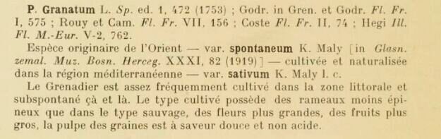 Prodrome-John_Briquet