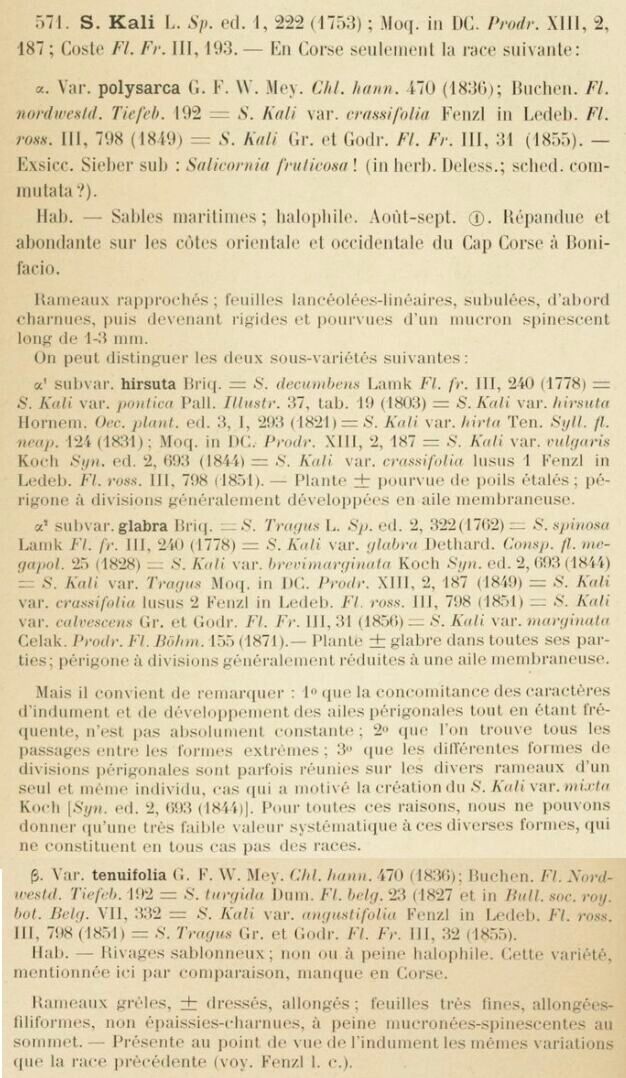 Prodrome-John_Briquet