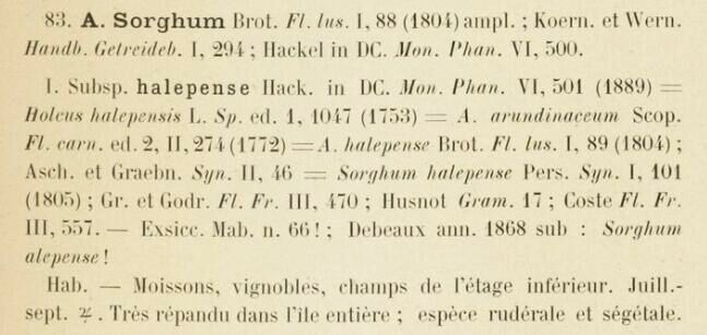 Prodrome-John_Briquet