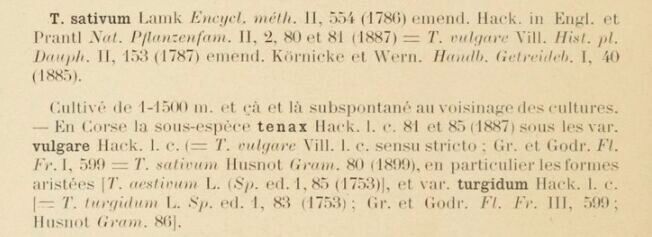 Prodrome-John_Briquet
