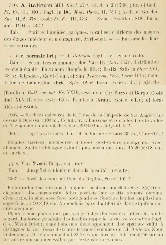 Prodrome-John_Briquet