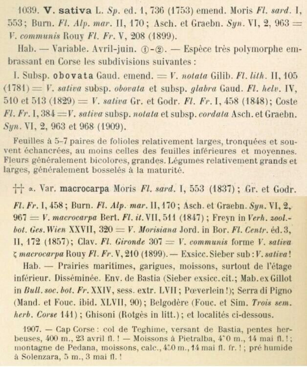 Prodrome-John_Briquet