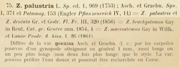 Prodrome-John_Briquet