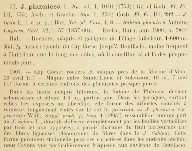 Prodrome-John_Briquet