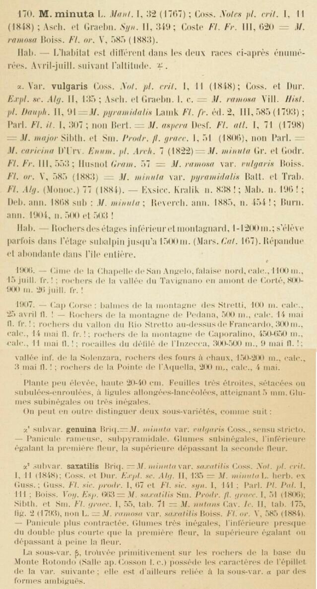 Prodrome-John_Briquet