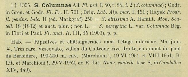 Prodrome-John_Briquet